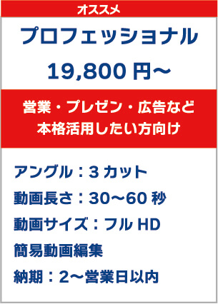 プロフェッショナル